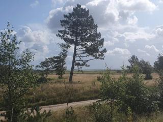 4 person holiday home in Oksbøl-By Traum - 3