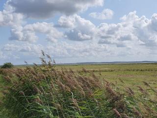 4 person holiday home in Oksbøl-By Traum - 4