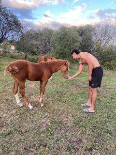 Turismo Rural Agroecológico - 1