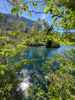 Cabaña Casa Victoria con Bosque,Río & Starlink Internet - 5