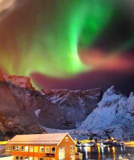 Fredvang - 5 bedrooms Feriehus - Lofoten - 9