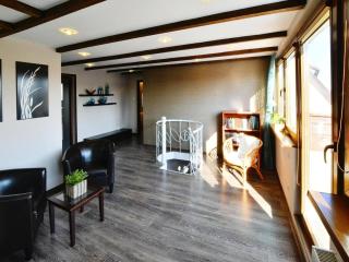 Large, comfortable holiday villa with a terrace - 6