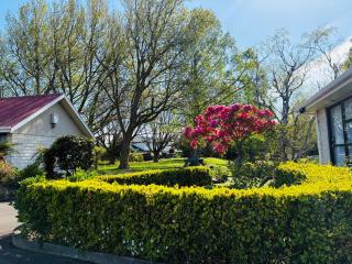 Awatea Park Motel - 5
