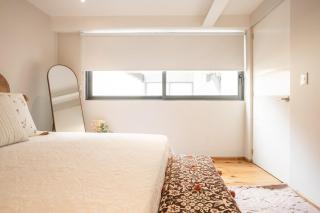 Stunning apartment with private Terrace in Condesa - 6