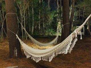 Bosque Las Delfinas - 7