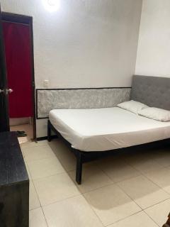 Hostel casa jungla - 3