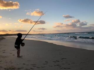 Orchid Oasis Orchid Beach KGari Fraser Island - 9