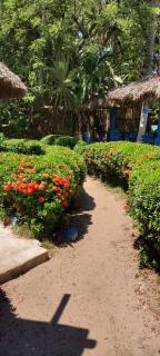 Hostel casa jungla - 9