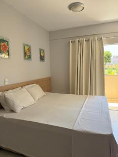 Golden Dolphin Express - Ap Reconexão - 4