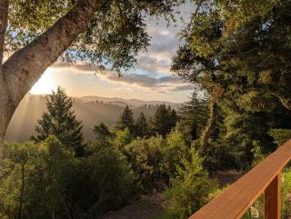 Redwood Haven Your Santa Cruz Mountains Gateway - 0