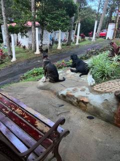 La Cabañita - 6
