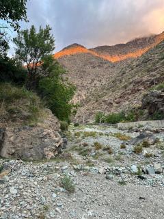 دار اوليم - 7