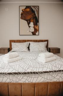 White House Iris Cluj Napoca - Apartament 1- parcare gratuita, self check in 24h, aeroport 15 minute ! - 3