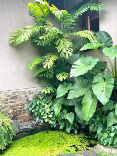 Kandy - City Hideout Villa - 1