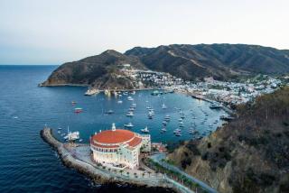 L.A. Style in Upper Duplex + USC + Exposition Park - 2