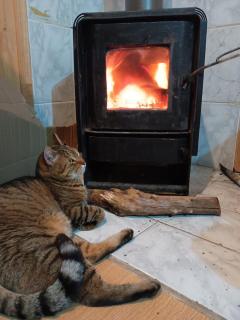 Habitación cómoda en Pelluco - 1