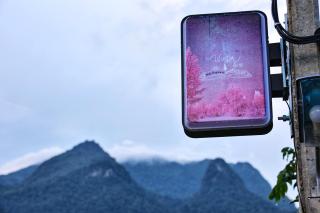 Wintersong วินเทอร์ซอง เชียงดาว - 3