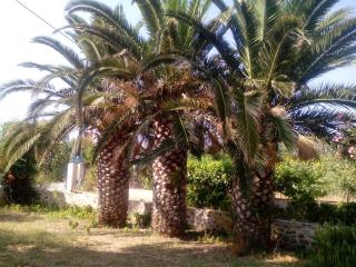 Guesthouse Karidia - Skala Eresou - 7