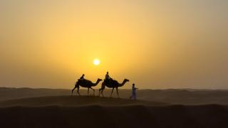 Alsarmadi Desert Camp - 1