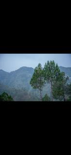 Valley vibes by Bahugunas den - 6