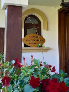 Casa Tudorescu - 9