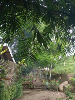 are twin bungalows - 8