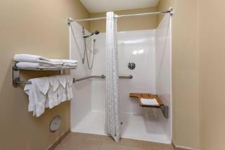 Comfort Suites Marquette - 2