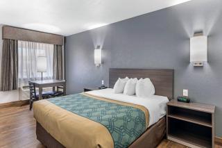 Econo Lodge Inn & Suites Socorro - 3