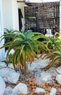 Cliff Lodge - Gansbaai - 2
