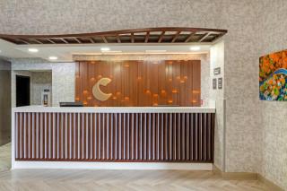 Comfort Inn & Suites Greenville Near Convention Center - 8