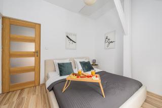 Lumina spacious apartments in the Old Town - 0