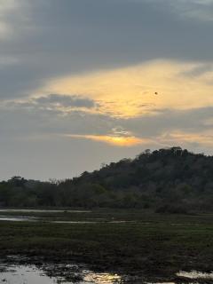 The Yala Vista - 8