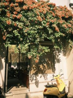 IKIGAI Dorm Hostel - Danang Beach - 0