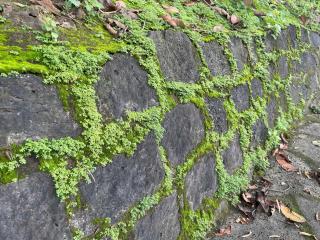 Cactos Countryside Homestay Trị An - 4