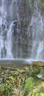 Massana's Residence - 2