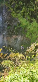 Massana's Residence - 3