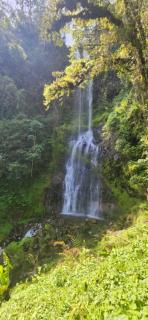 Massana's Residence - 1