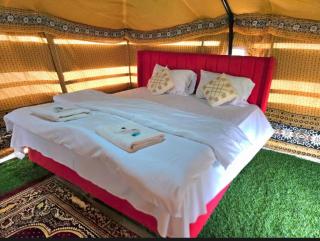 Star line for Desert Camping - 6