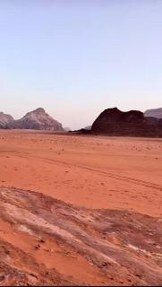Bedouin oasis - 2