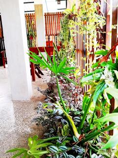 Surface Stay & Diving -5 min to Silent beach - 7