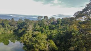 Lake Nkuruba Nature Reserve - 8