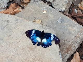 Lake Nkuruba Nature Reserve - 2