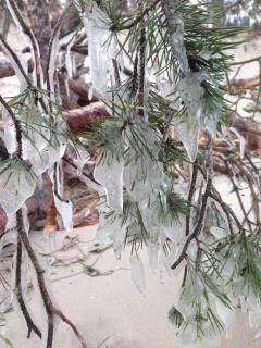 Ferienwohnung Strandwurzel - 6