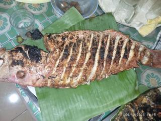Three Ken Homestay & Cafe - 6