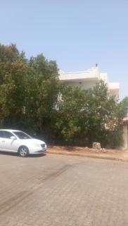 Cozy Comfy studio - 1