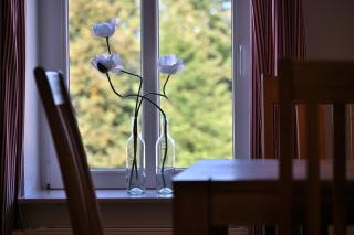 Familienfreundliche Ferienwohnungen auf idyllischer Reitanlage - Hof Norwegen - 3