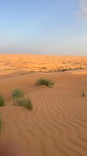 layali camp - 5