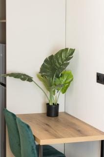 Muse Elegante Apartments by BiNoBi! - 1