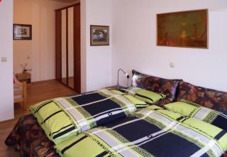 nette Ferienwohnung mit eigenem Eingang und Sonnenterrasse - Idstein - 1