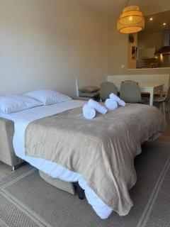 T2, 50 m beach, balcony with sea view - 1